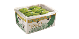 Plantains in PBS box