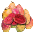 Cactus pears