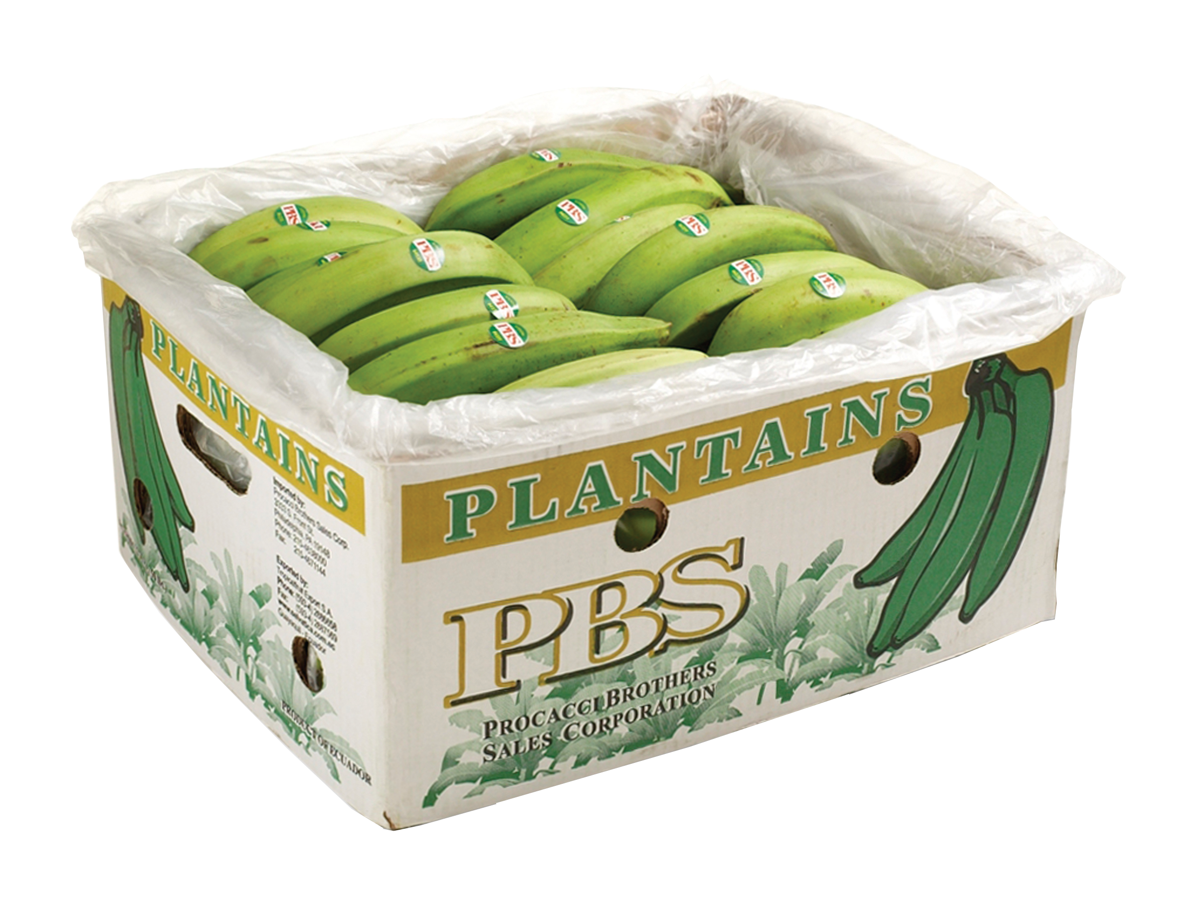 Green Plantains in PBS box