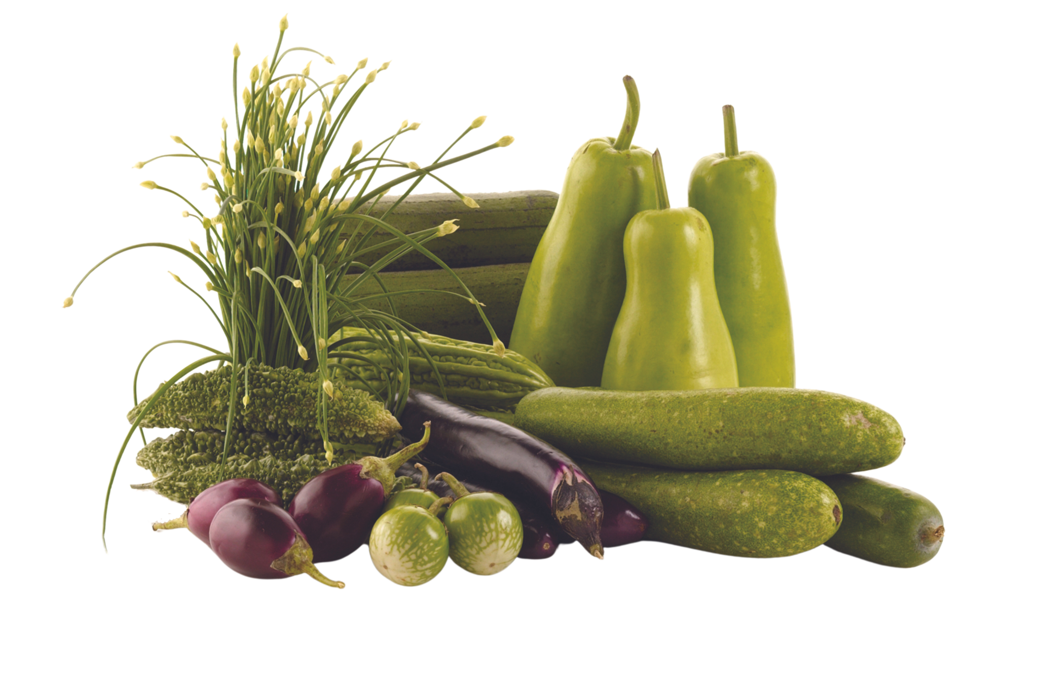 Tropical Produce Procacci Brothers Sales Corp